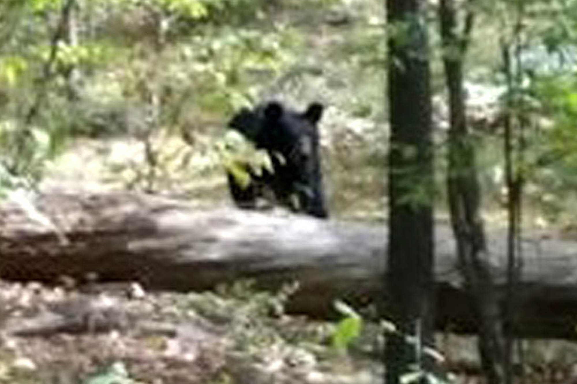 ����һ����ѧ������ܹ�����ʳ�������ڱ�����Ϯ����ǰһ�̣��������˺��ܵ���Ƭ��