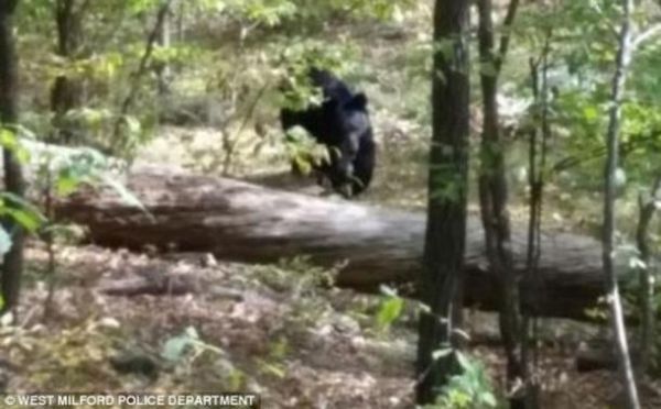 ����������ɭ���������δ�ϲ��⹥��ɥ��