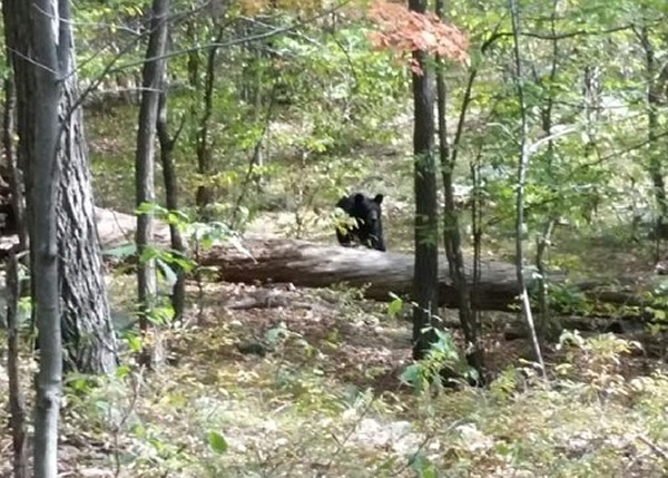 Ϯ�����ض������ĺ���(ͼ)���𲽱������ߡ�