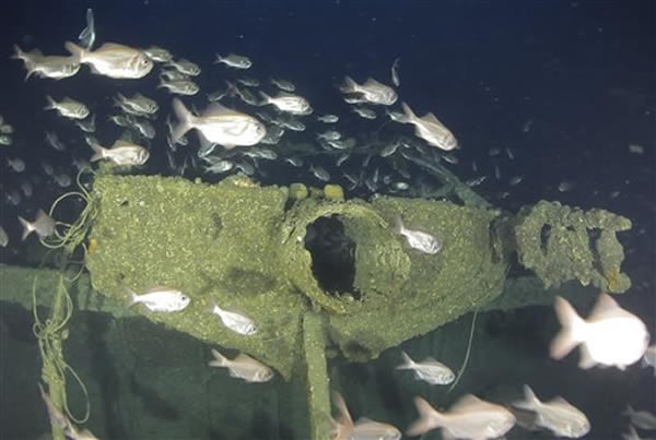 沉船残骸已成为鱼群的栖息处。