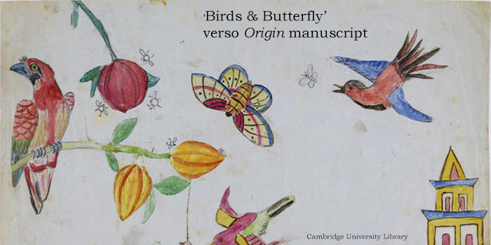 达尔文进化论产生和发展过程的数字档案上线