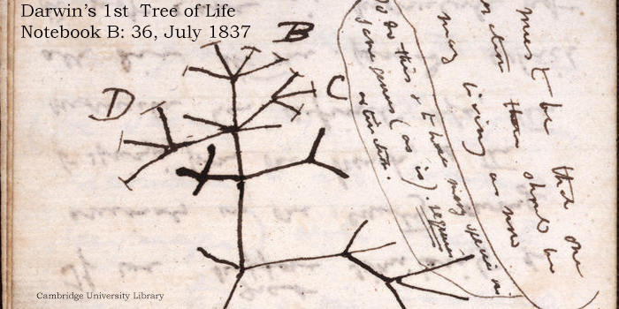 达尔文进化论产生和发展过程的数字档案上线