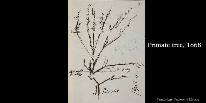 达尔文进化论产生和发展过程的数字档案上线