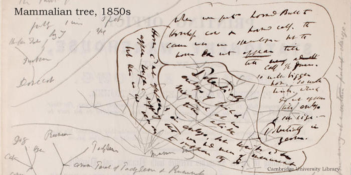 达尔文进化论产生和发展过程的数字档案上线