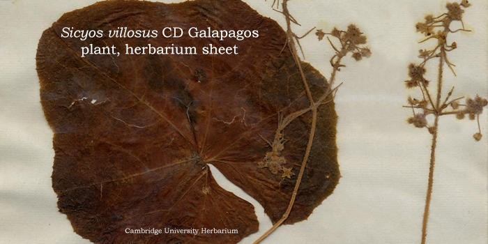 达尔文进化论产生和发展过程的数字档案上线