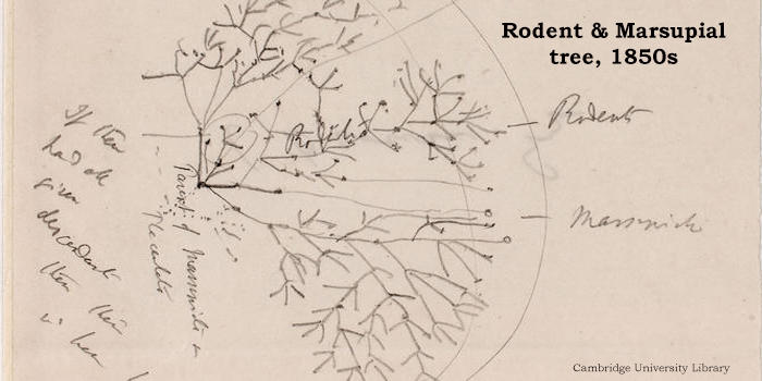 达尔文进化论产生和发展过程的数字档案上线
