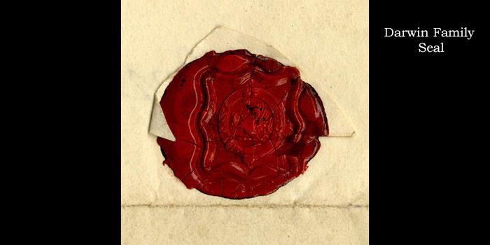 达尔文进化论产生和发展过程的数字档案上线