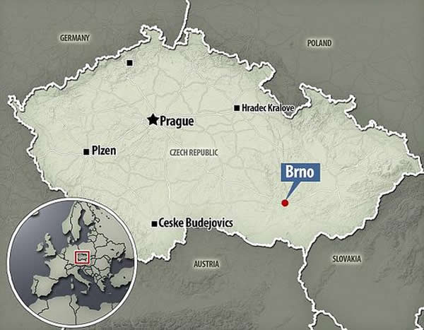 普莱德莫斯蒂I是位于捷克布尔诺附近的一处格拉维特人史前遗址。