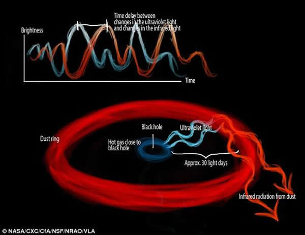 źڶ䣬ڴ˹лᱻȲⲨθ裬⳾Ƶ¡õϵԶѧǲԺڶԼƸߵִʱ