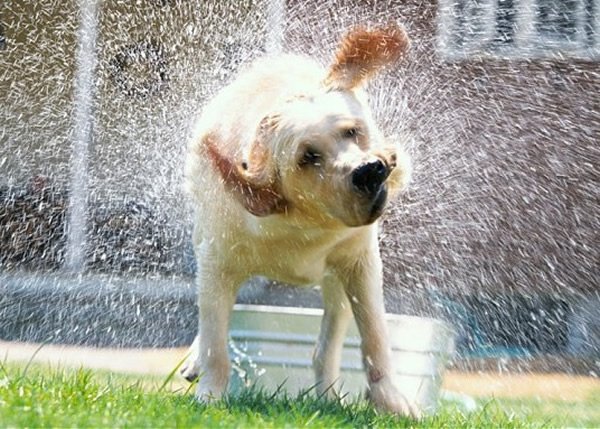 ������������Ϊ���������������