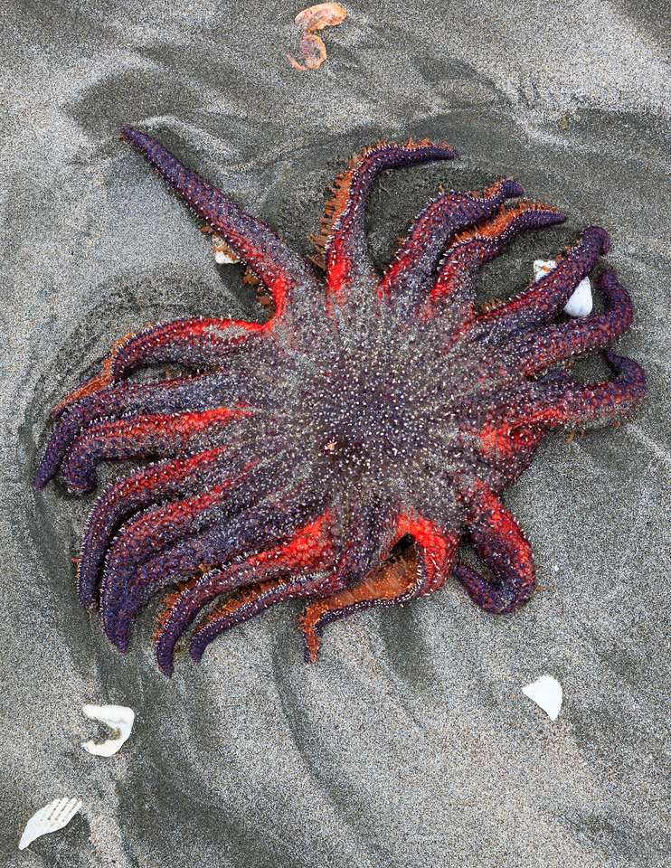 ǳڲе߸ױǺ̲ϵһտǡִͺҲǲ֮ܺһӰRon Watts, All Canada Photos/Corbis