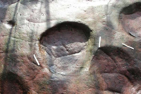 ���ڵ���ƫƧ�˿�ϡ�٣�������ӡ���Ա��档