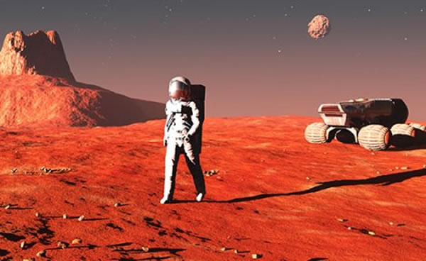 �����½����