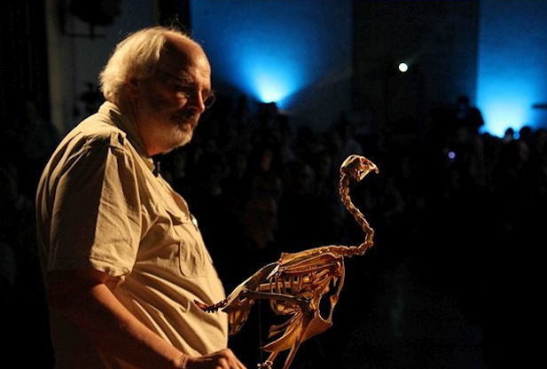 杰克在研究如何给鸡的骨骼加上尾骨。在他看来鸡的骨骼和奔跑型小型恐龙的骨骼真的很相近。