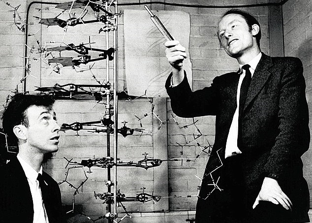 ��ɭ(��)����DNA����1962����ŵ��������