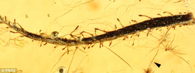 3500굽4700ǰĲ޵ĺзʳֲ