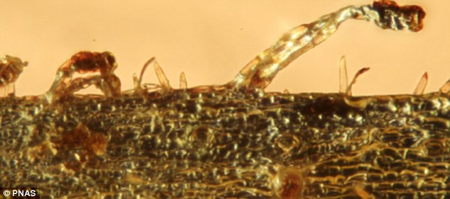 3500굽4700ǰĲ޵ĺзʳֲ