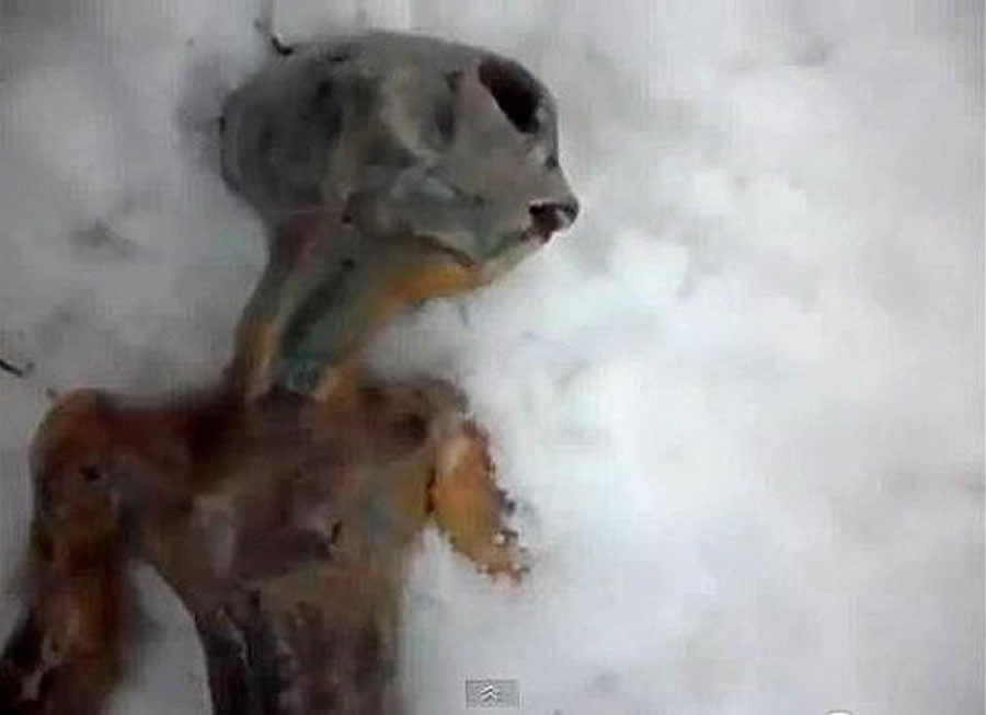 西伯利亚外星人