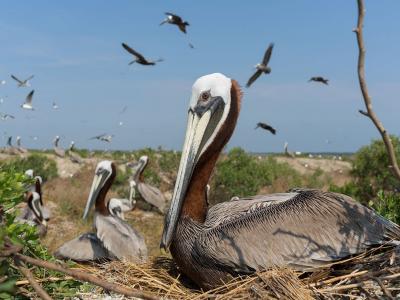 �����Ͽ��������ݵ·��ˣ������ɵ�����