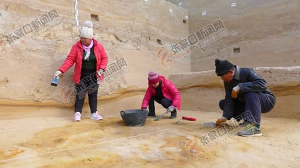 ԱɼĶﻯʯʯƷȳ