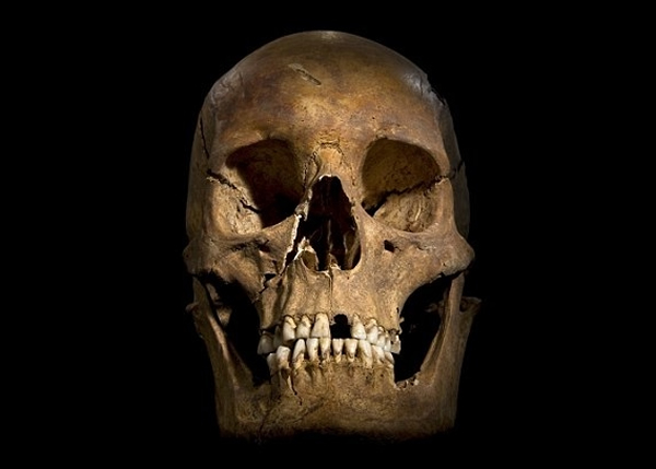 һ��������ɿ�ѧ�Ҳ�֤�����3���ĺ��Ƕ���