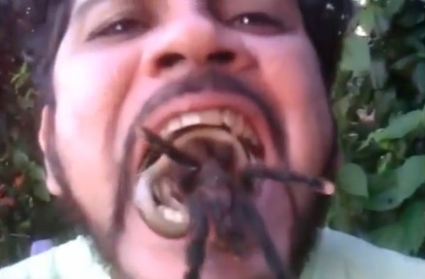 巴西疯狂男子把狼蛛+蛇卷成寿司状塞进嘴里