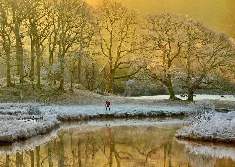 Ӣ������ĩͻȻ��������������6��