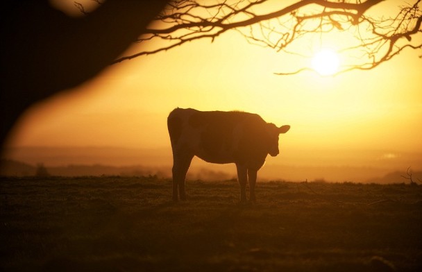 ��Լ�������������Ȼ�����Ե��൱ãȻ��