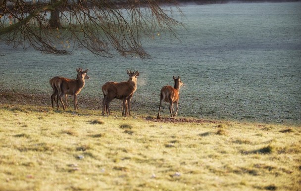 С¹�Ƕ������ļ���ת���Ե������޴�