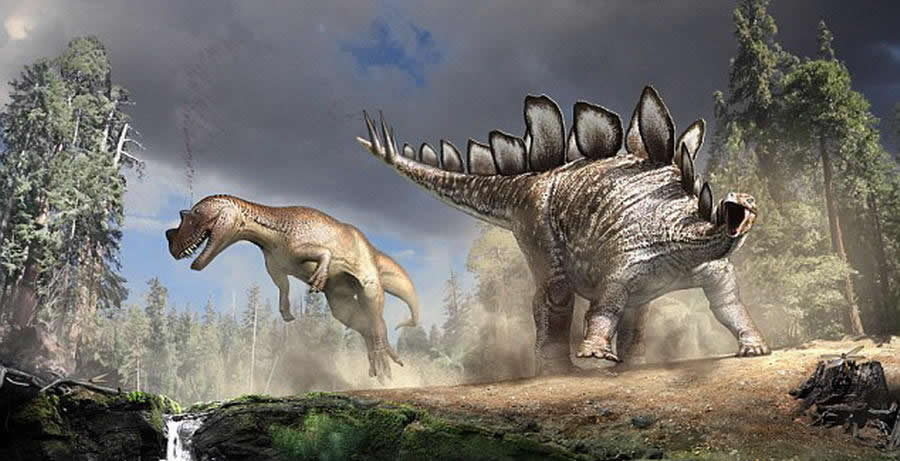 刺状尾部是剑龙的一个防御手段,科学家知道这是剑龙的强大武器。巴雷特教授指出,曾发现一具异龙骨骼化石样本遭受刺伤,受伤处正好与剑龙刺状尾部外型相符。