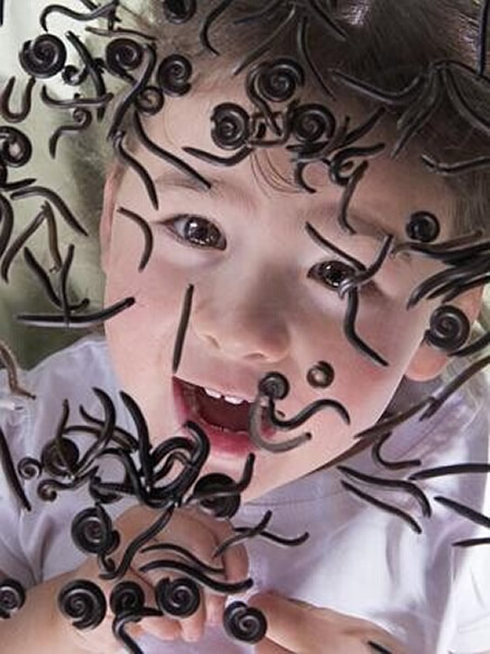 气候变暖导致澳大利亚南部城市“千足虫”数量大增