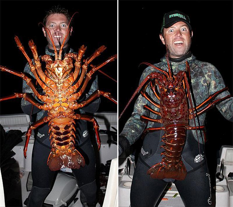 ֻش12ĴϺForrest GalanteڼǺǱˮʱ̵ģ볣Ϻ̫ͬƽϺûǰֻ֫ǯӡ