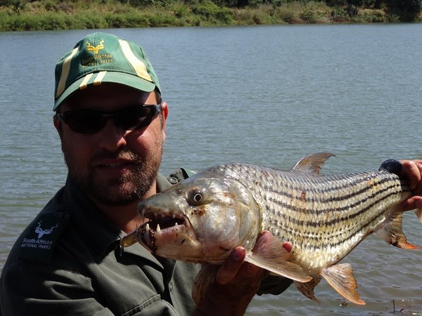 不幸身亡的雅克