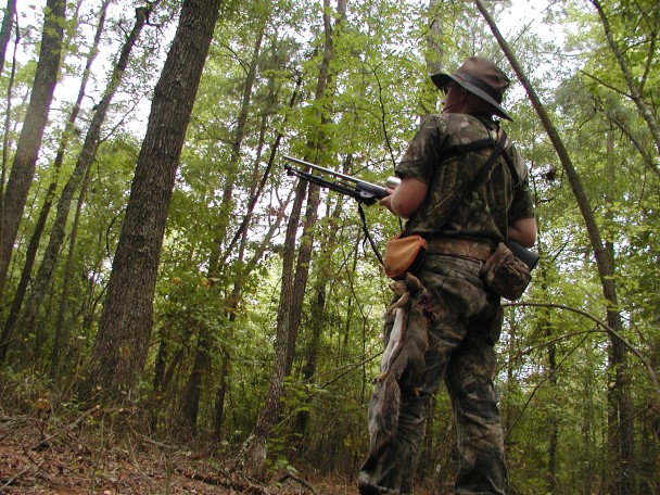 �Ƿ����Բ�Ⱶ��³���¹���پ���