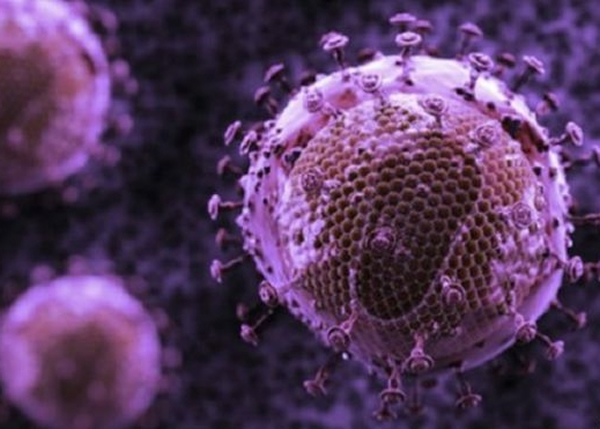 研究指爱滋病病毒(图)的致命威胁在减少