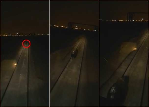 (Ȧ)г׷ϣʧڻ棬ֱгײ