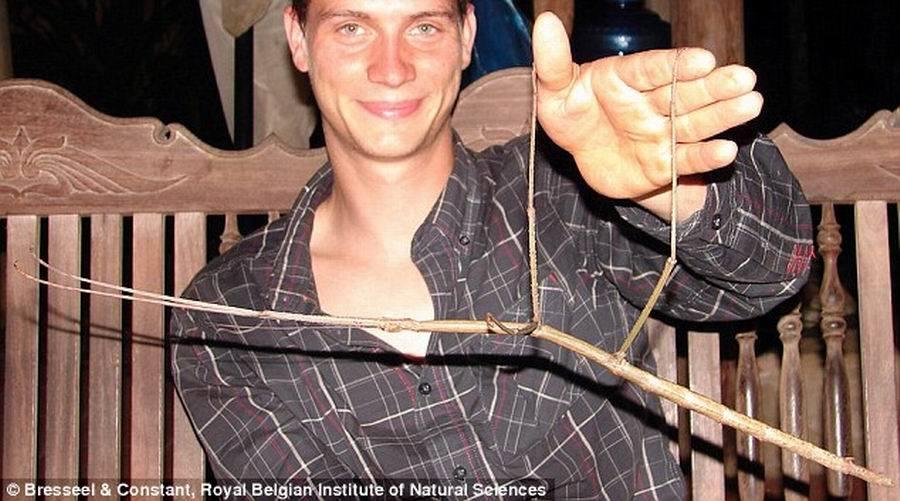 ѧԼϣķ-(Joachim Bresseel)ֻڳĺӰưڳ档