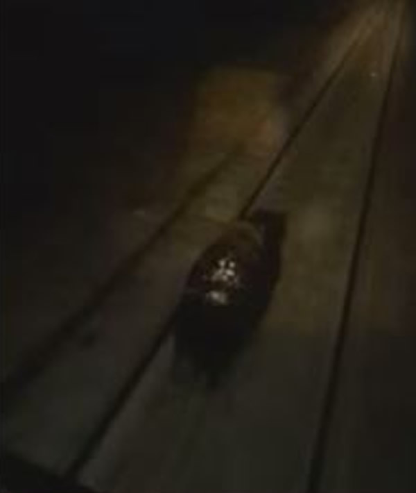 ����˹�г������֡����ܡ���·���� ��ͣ��������ײ��