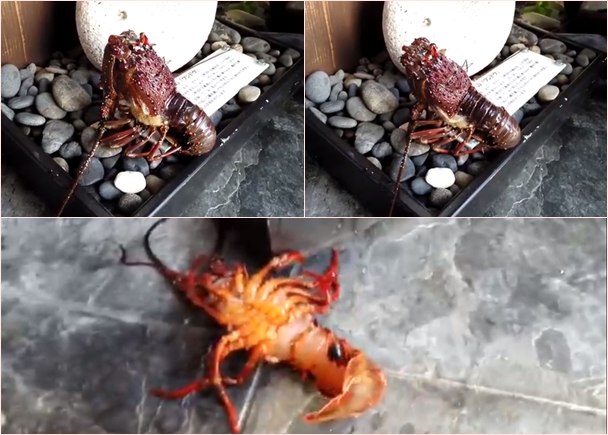 ϺڳΪʳ֮ǰҪɻǵʹ