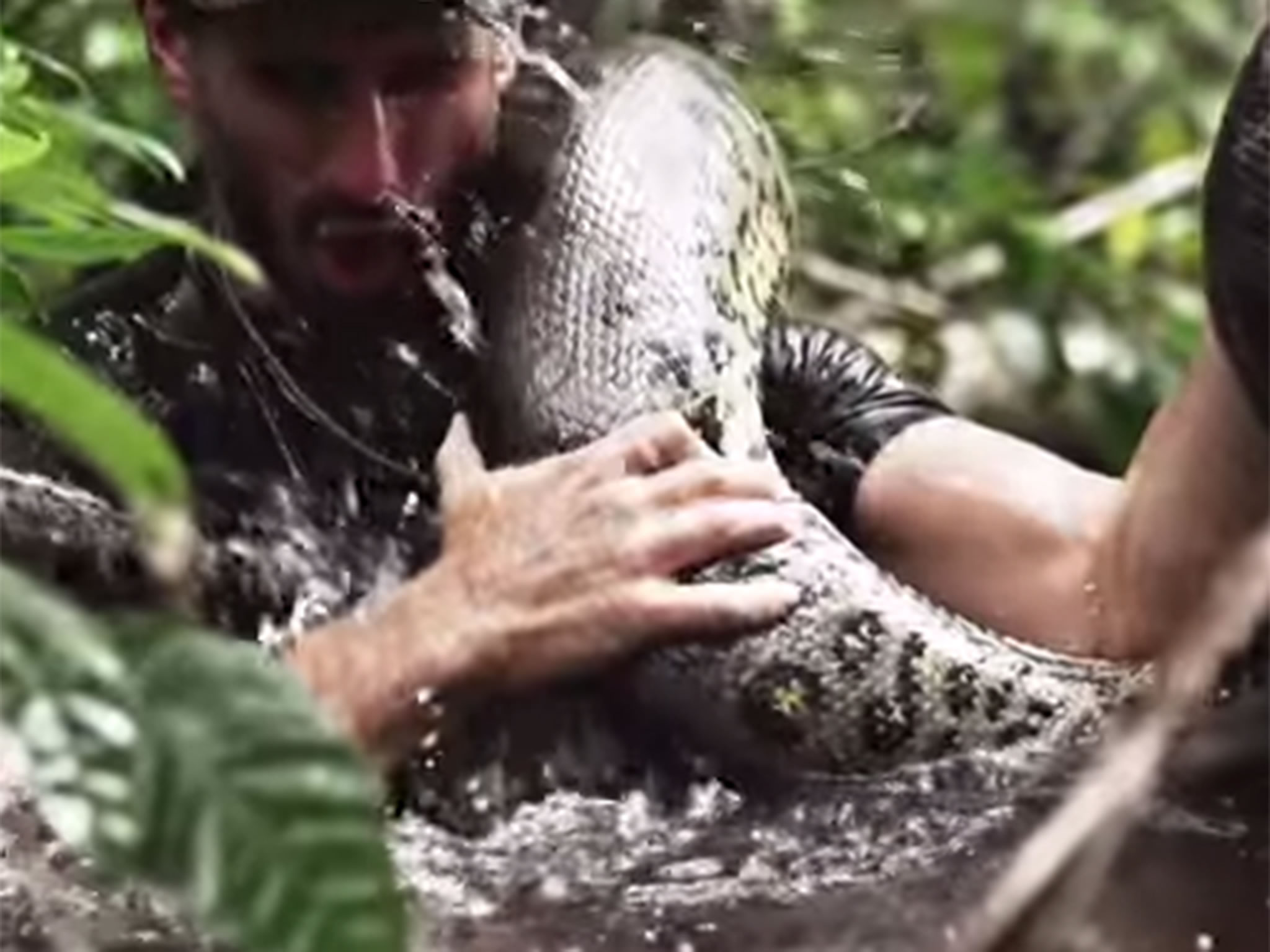 Discovery《Eaten Alive》:让野生动物专家被一条大蟒蛇活活吞下去