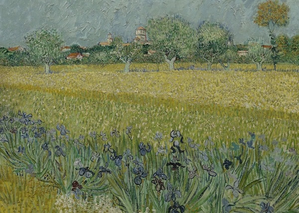 梵高画作《花开满原野》(图)或曾随着时间而褪色