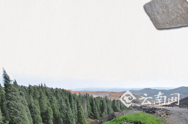 点缀着植被的化石群核心区,与周边环境形成鲜明反差