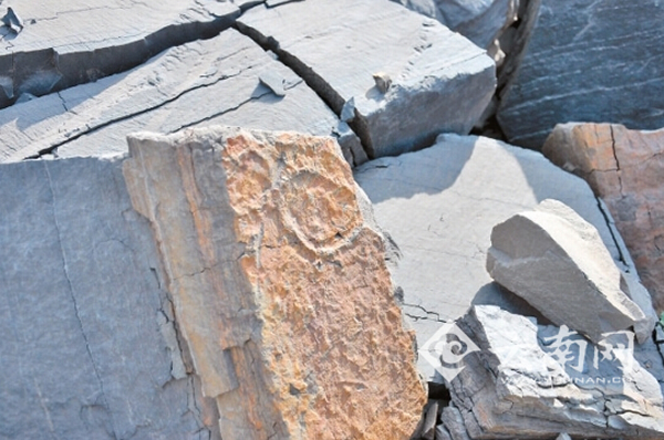 矿区路边的石头也能见到化石痕迹