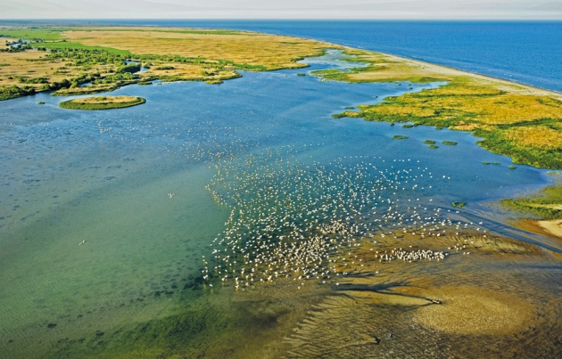 ��ɫ��������ȫ������������ȵ����򡪡��������Ƕ�觺���������ʳ��