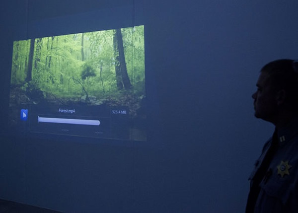 犯人于房间内观赏大自然风景或生物的影片