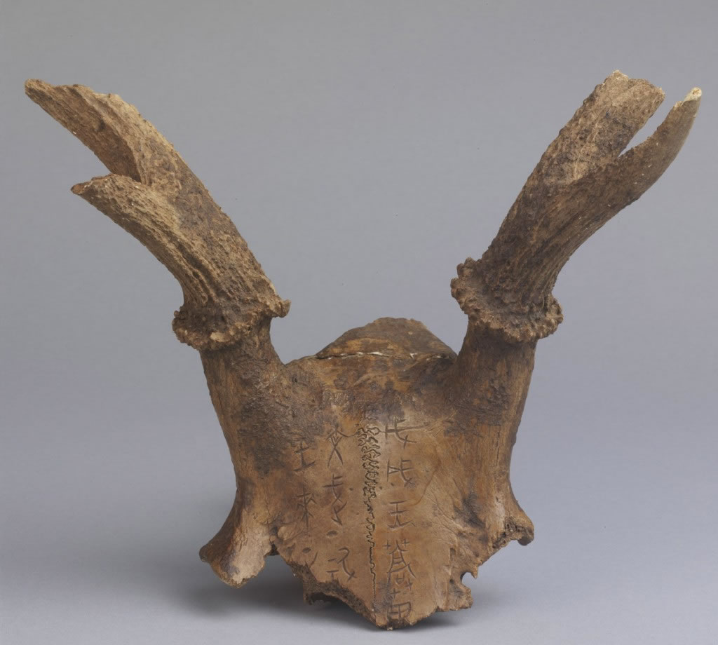 「带刻辞鹿头骨」是考古出土的鹿头骨刻辞全世界仅存两件其中之一。上面的文字记载商王征讨方国后,回程在「蒿」地田猎,获得猎物祭祀「文武丁」的事迹。图片提供:中央研究