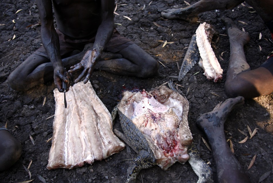 澳大利亚东阿纳姆地原住民保留地,雍古族原住民猎手Roy Gaykamangu切割一条刚刚猎杀的鳄鱼。