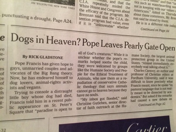 ������ý���󱨽��ڵ�����