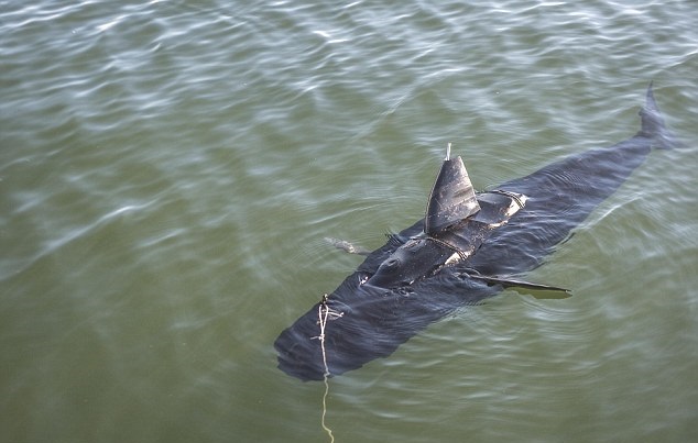 е㡰Ӿ֡Ǳоˮ򣬴̽顣