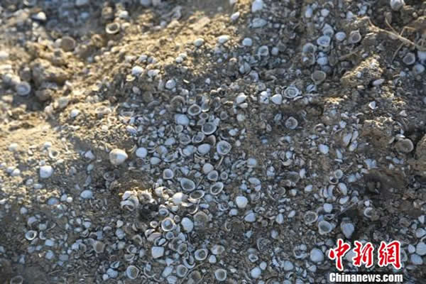 ����Ϊֹ�й���½��ط��ֵ�����ģ������ز㡪������������